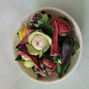 CAPIDIMONTE ITALY L'atelier vegetable small centerpiece 6" collection Porcelain